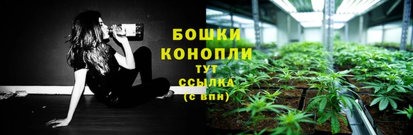 spice Белокуриха