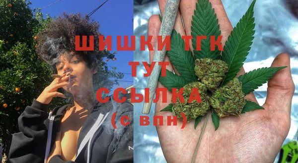 spice Белокуриха